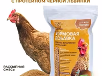 Витамины для кур несушек с Черной львинкой — foto 4