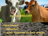 Жмых подсолнечный ракушка — الصورة 2