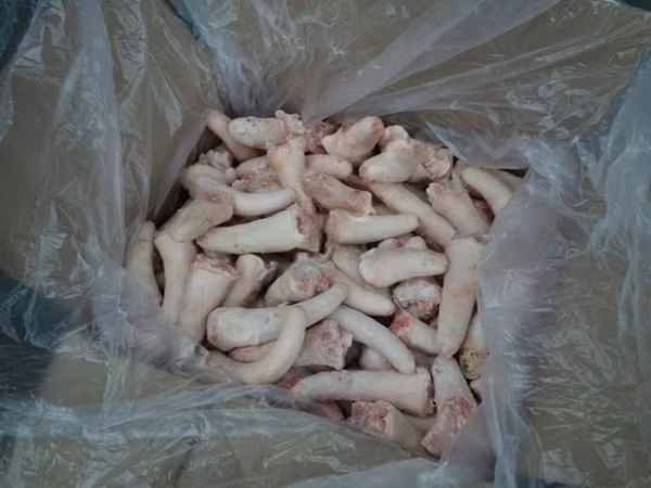 सूअर (लॉट, लिंग निर्दिष्ट नहीं), सूअर