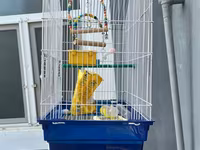 Quş qəfəsi dəsti - Material: metal barmaqlıqlar, möhkəm plastik — 2-rasm
