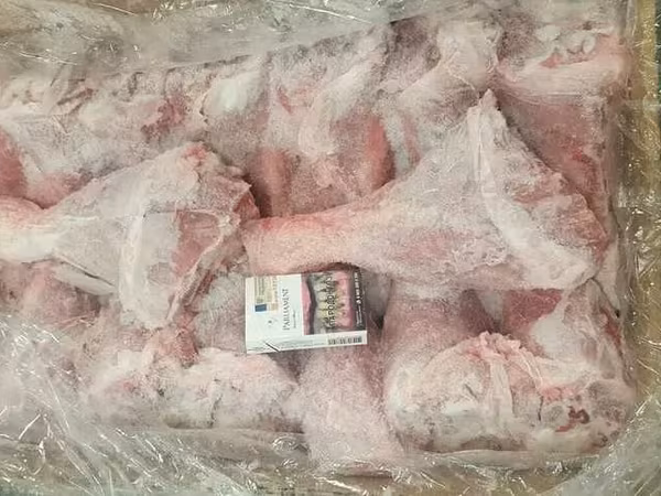 Голень индейки самцы.