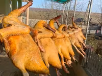 Кагул- Продаются немые утки на мясо врезанном виде.150 лей кг.В живом виде по 130 лей кг — foto 1