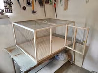 Papuqay,dovşan,hamster,şinşila,bildirçin,cücə,xamyak,pişik,quş,tısbağa — फ़ोटो 4