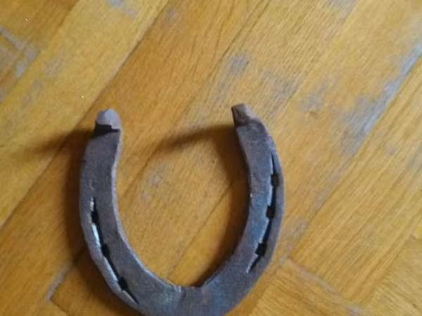 Taxta döşəmə üzərində yerləşən bu at nalı, metal materialdan
