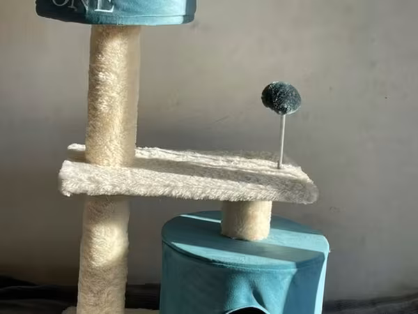 Purina ONE brendli pişik oyun və dırnaqqaytaran kompleksi. -