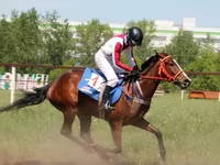 Yegua, Arabian horse — foto 3