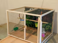 Papuqay,dovşan,hamster,şinşila,bildirçin,cücə,xamyak,pişik,quş,tısbağa — الصورة 3