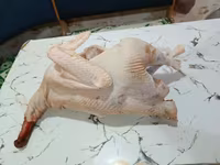 Turkeys — الصورة 8