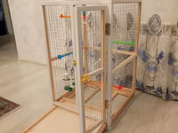 Papuqay,dovşan,hamster,şinşila,bildirçin,cücə,xamyak,pişik,quş,tısbağa — photo 1