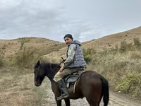 घोड़ा, Azerbaijan horse — फ़ोटो 3