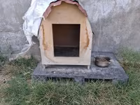 Taxta it evi - Material: kontrplak/taxta gövdə, üstü dalğalı metal — 照片 1
