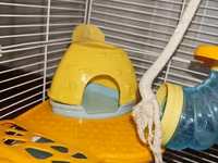 Dəbilqəli hamster üçün çoxmərtəbəli qəfəs dəsti - Rənglər: açıq mavi — 2-rasm