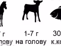 Биорост С — 2-rasm