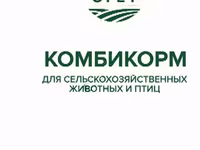 Корма — Foto 3