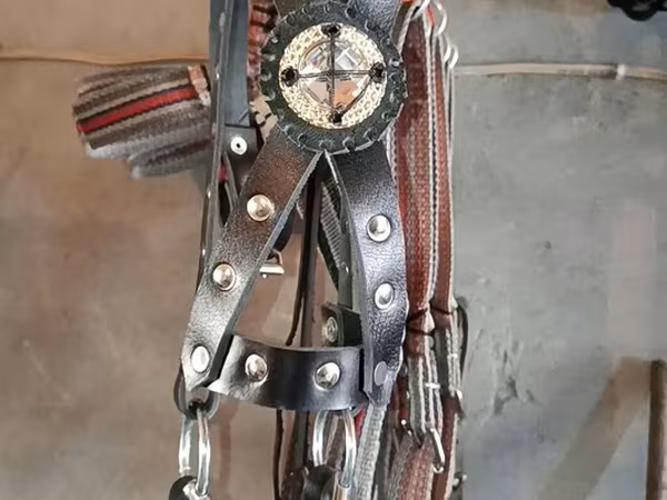 At üçün bəzəkli dəri yüyən və ağızlıq komplekti. - Material: qalın