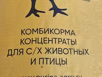 Broyler cuce yemleri
Rusiya istehsali PURINA — الصورة 1
