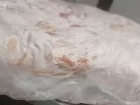 Котлетное мясо свинины (тримминг) — 照片 2