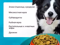 Корм для собак эконом класса Вожак 5кг — Foto 3