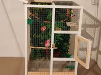 Papuqay,dovşan,hamster,şinşila,bildirçin,cücə,xamyak,pişik,quş,tısbağa — 3-сурет