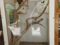 Böyük tutumlu quş qəfəsi – aksesuarlarla - Material: ağ rəngli taxta — 2-rasm