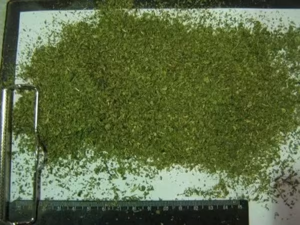 Заменитель молочного жира oilblend