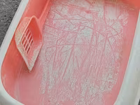 Məhsul: Pişik tualeti qabı və kürəciyi - Material: davamlı plastik - — 2-rasm
