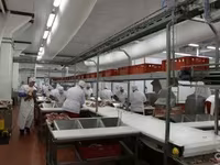 Солемеры внутри тела продукта со склада — Foto 2
