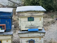 Arı yeşikləri satılır 🐝 Şəkildə görünən tipdə arıçılıq üçün yararlı — Foto 2
