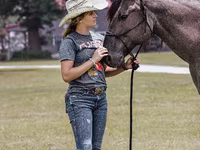 Aygʻir, Quarter Horse — 5-rasm