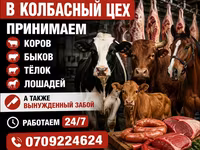 Туша, Самовывоз — фото 1