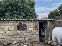 үйрек тұқымды мускус тауық — 3-сурет