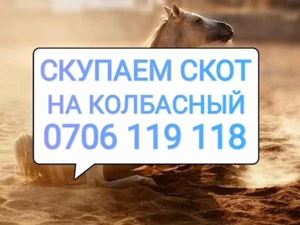 Лошади