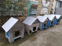 Salam yuvalar pişik ve balaca itlər üçün təzədi balacadan böyüyə — الصورة 1