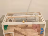 Hamster/kiçik gəmirici üçün geniş taxta — Foto 1