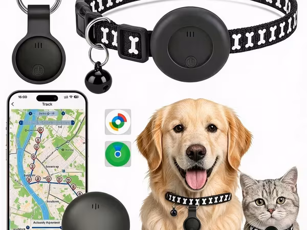 🐾 HEYVANLAR ÜÇÜN MINI GPS NAVİQATOR 🐕 Hər növ it cinsləri 🐈 Bütün