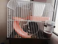 Hamster üçün tam dəst qəfəs - Material: möhkəm metal barmaqlıqlar və — foto 2