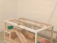 Hamster/kiçik gəmirici üçün geniş taxta — Foto 2