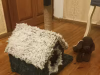 Pişik üçün ev və dırnaq itiləmə komplekti - Rahat qapalı pişik evi — फ़ोटो 2