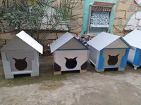 Salam yuvalar pişik ve balaca itlər üçün təzədi balacadan böyüyə — الصورة 2