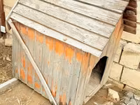 Taxta it evi - Material: təbii taxta lövhələr, ikiqat maili dam — फ़ोटो 2