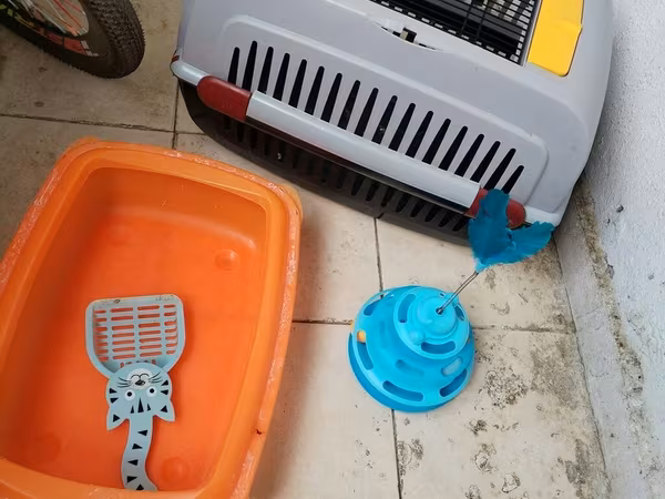 Pişik üçün aksesuarlar dəsti - Daşınma çantası/kennel: sərt plastik