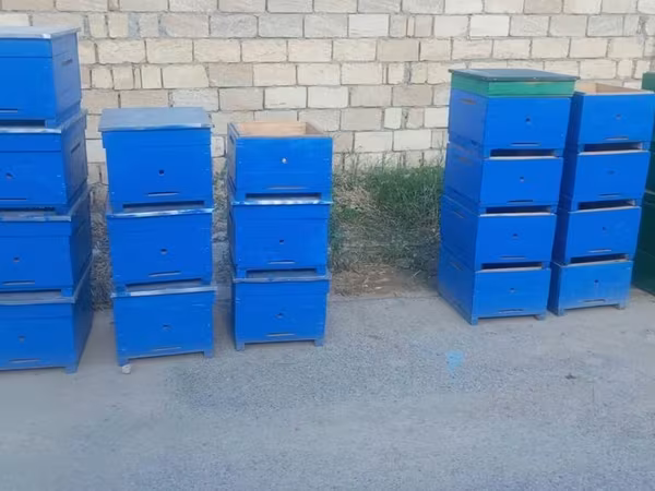 Arıçilik üçün taxta pətəklər və korpuslar - Material: möhkəm taxta