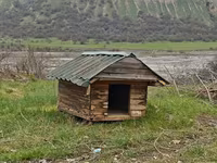 Salam it yuvasi satilir birinci şekildeki kimi de sata bileriy yani el — фото 3